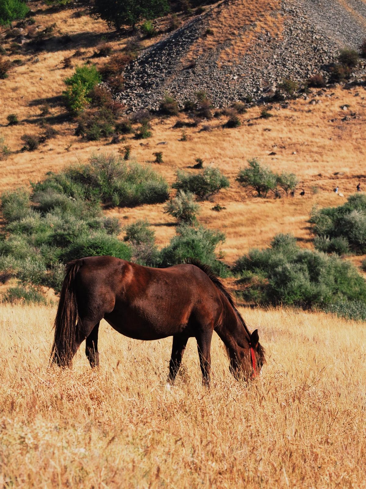 2021-10-02 08.08.28 1-01