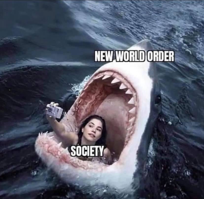 -4954353911511230933_121