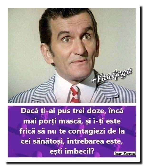 267598713_4880405031993377_2535867762733645362_n