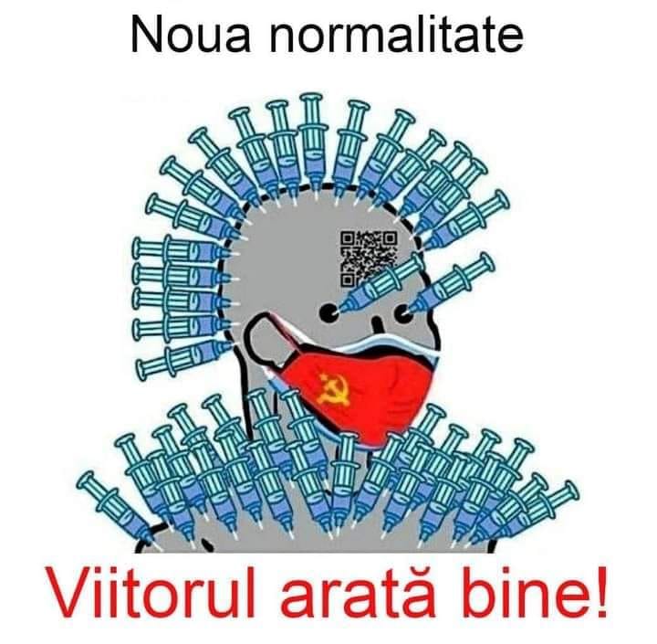 262134732_443238277365396_1420986379825440973_n