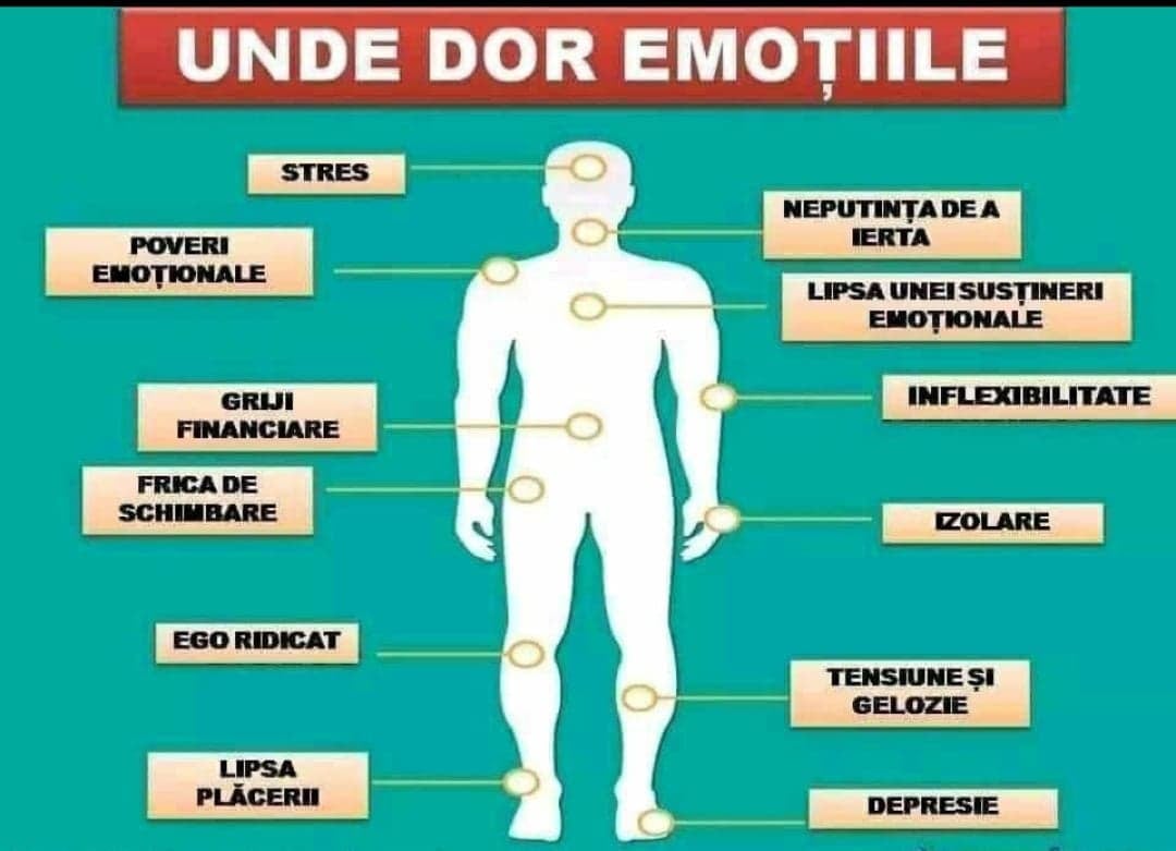 120998757_174618530873668_5500566065908863346_o