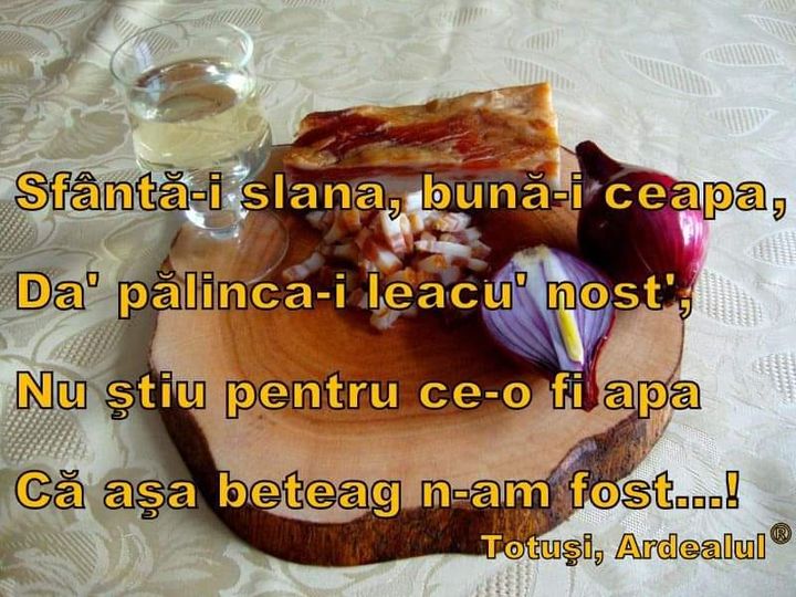 71502052_2125304447765874_7538899280841408512_n