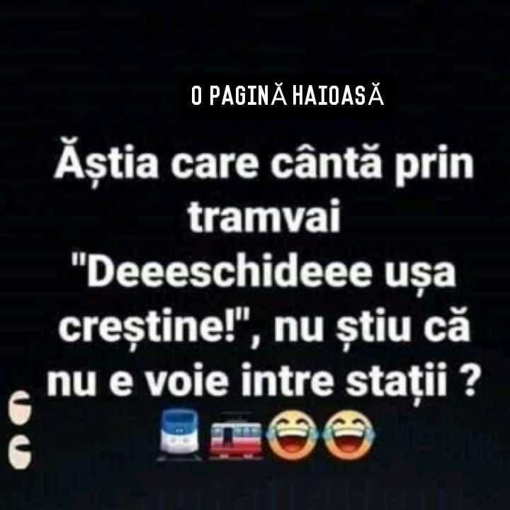 78639445_2273858666245668_7993663844209655808_n