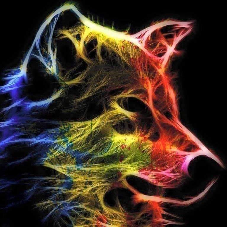 262570666_10220985236085469_6082624046829879126_n