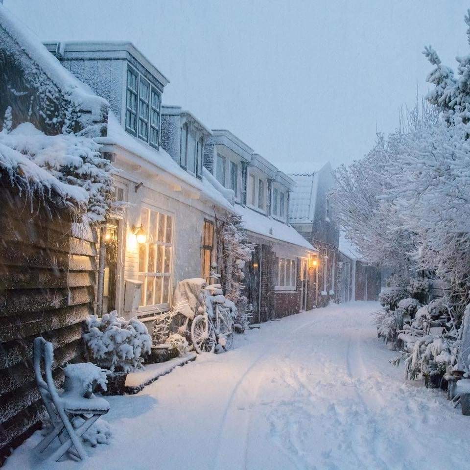 FB_IMG_1640030328061