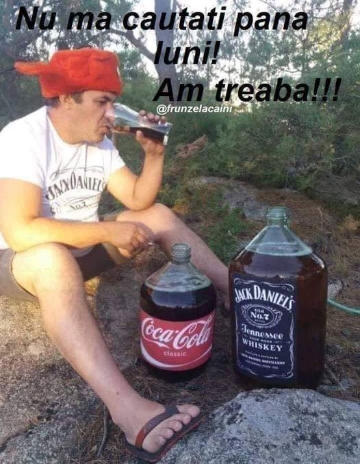 147753456_3623318731079656_3520813221775517960_n