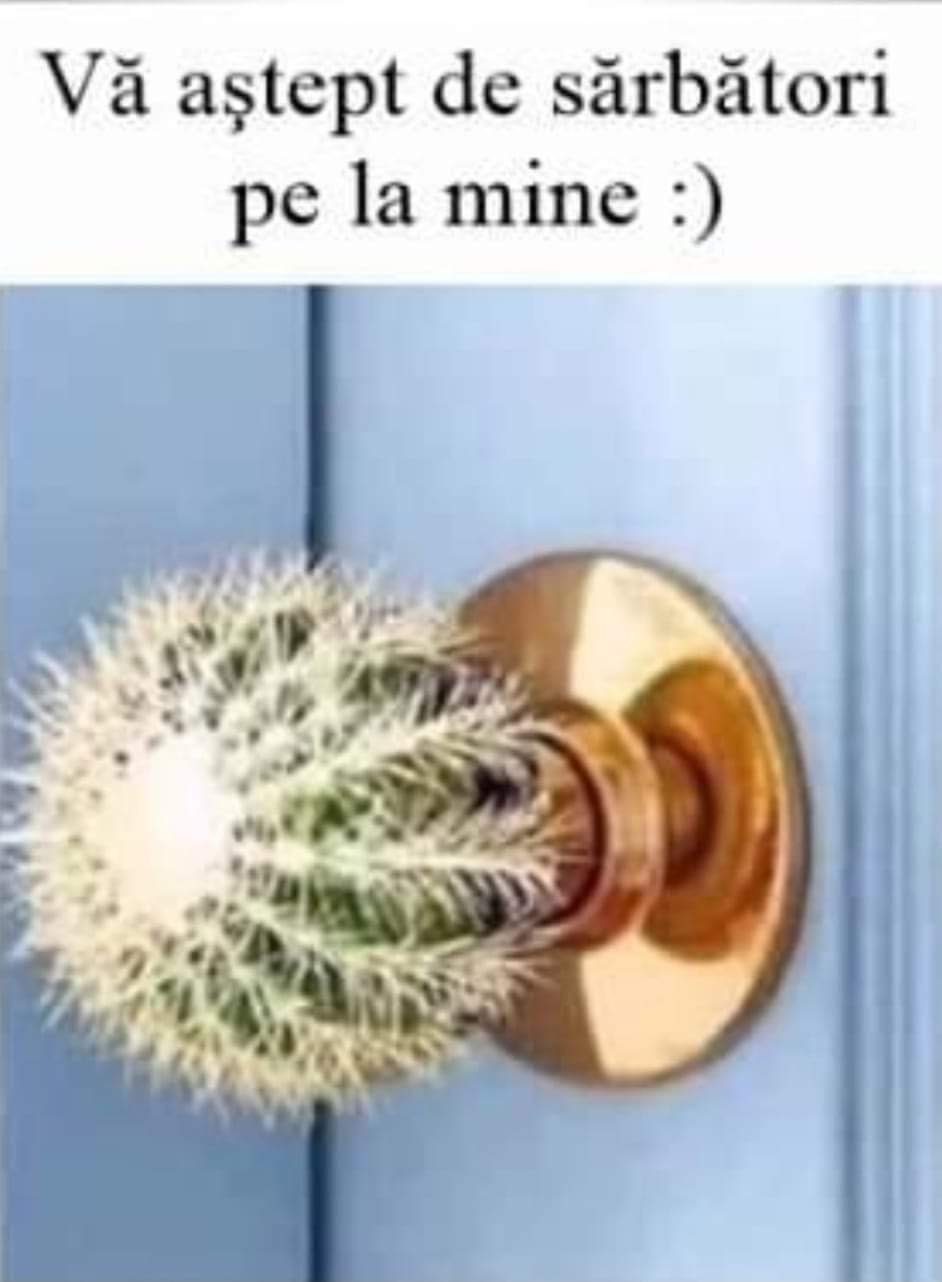 FB_IMG_1639544853493