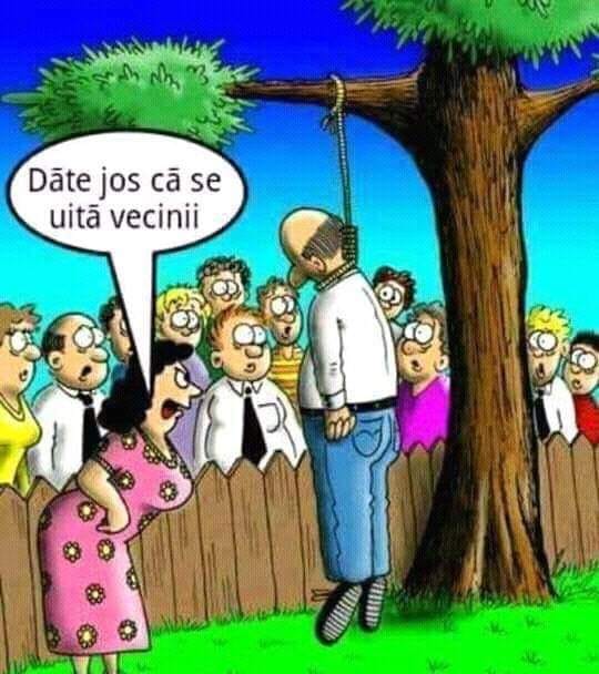 83232504_2699997520115316_8729555745340653568_n