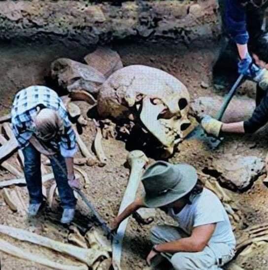 164512593_208435440954333_6253800030403328514_n