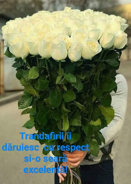 49864676_481885822335421_49825418630230