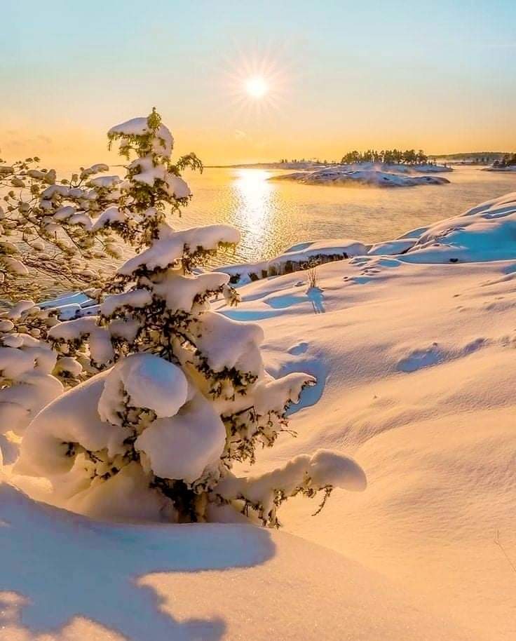 FB_IMG_1638428120434