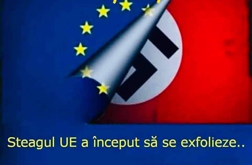 258835564_121842563626623_5251442260772504796_n