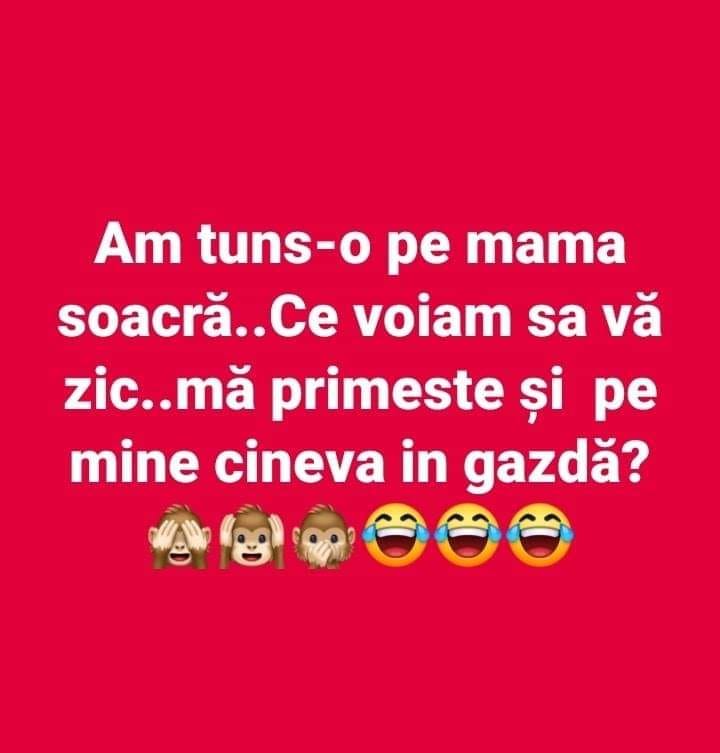 96581200_2943784969069902_4706524101823430656_n