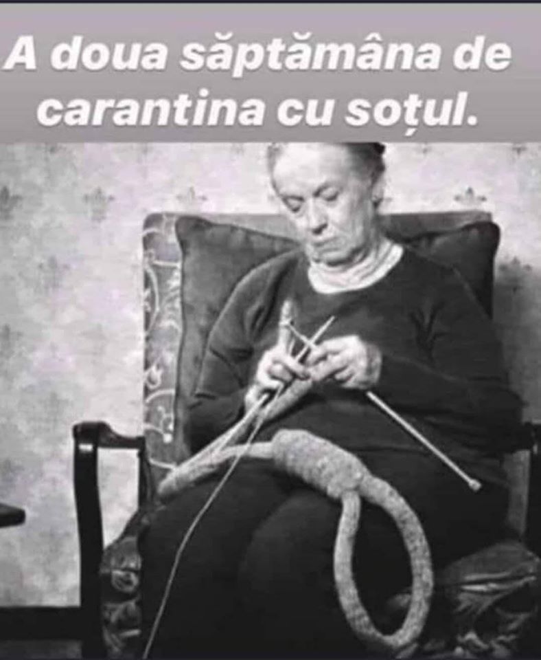 92604197_891120948072926_2263939684776280064_o