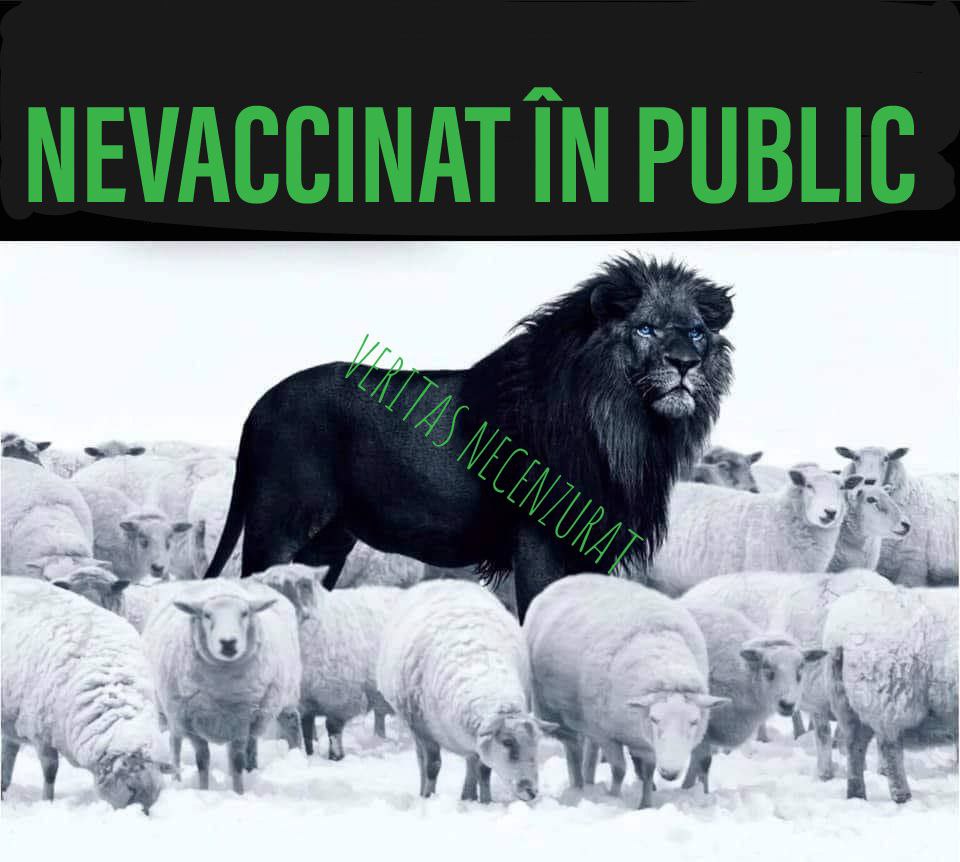 -5258132112224140363_121