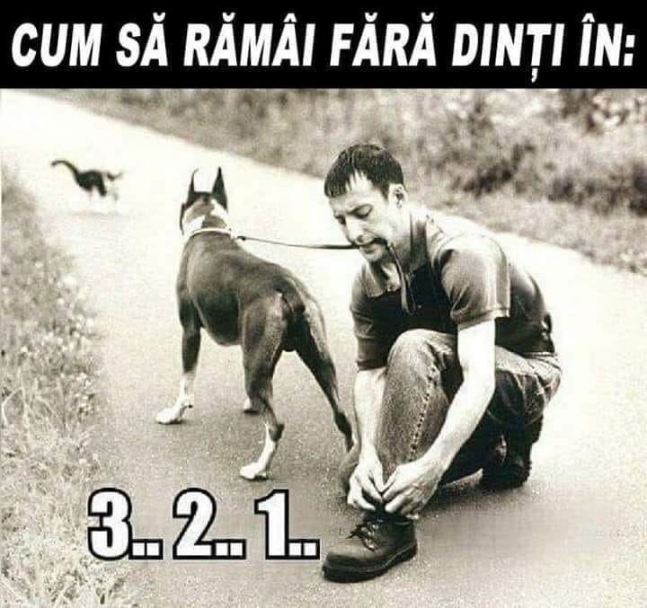 180928506_4545747702107185_478157817848865681_n