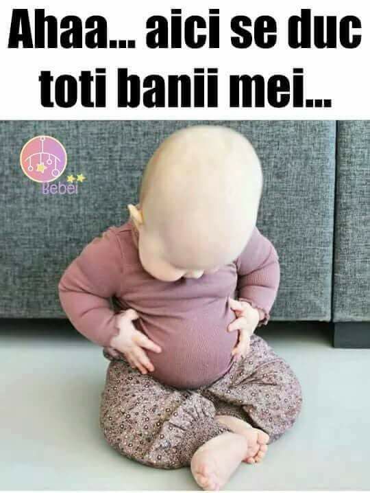 24991068_150654858910619_6461342455694028239_n