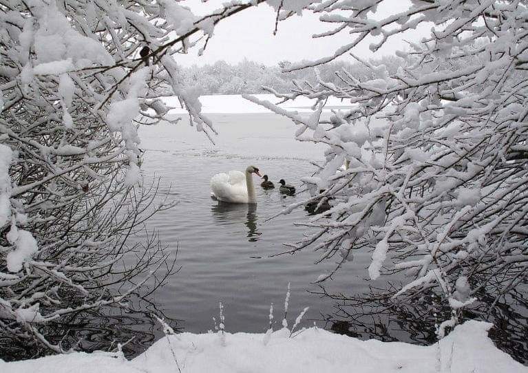 FB_IMG_1639370415950