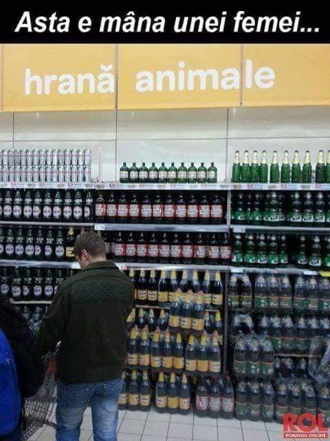 59912217_427005004764801_5027493201196351488_n