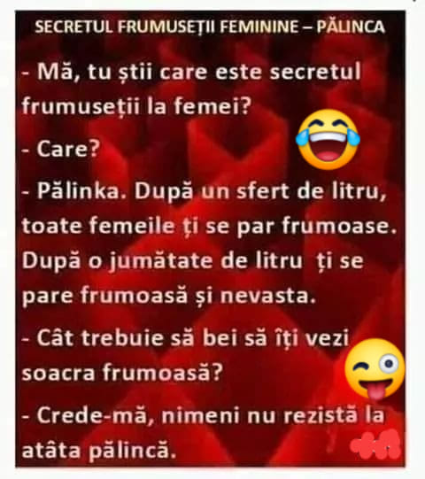 81043423_2448669582128735_4226746271693537280_n