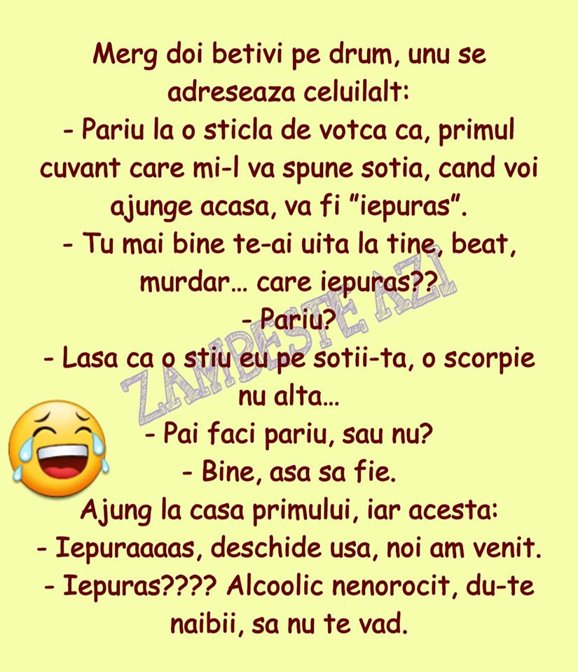 78343770_157309979005717_2069799878732546048_o (1)