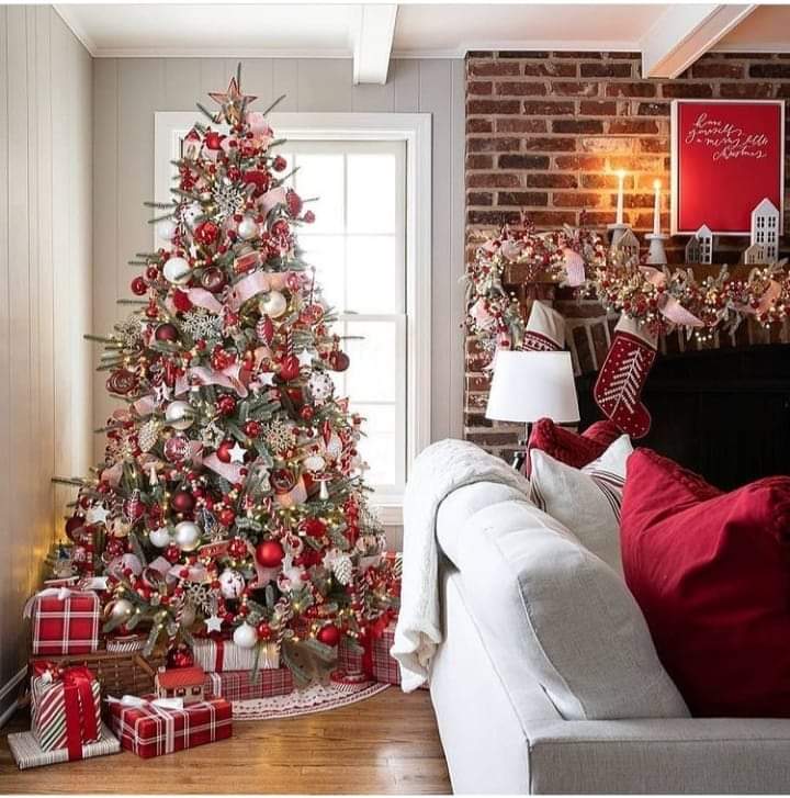 FB_IMG_1638387612141