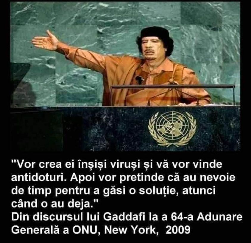 233781130_3029905340573855_505118102092700976_n