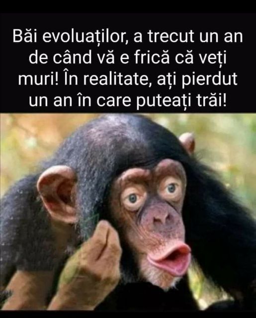 166332701_2178386418963809_7486987030000875708_o