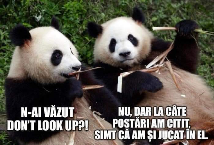 FB_IMG_1640710748726