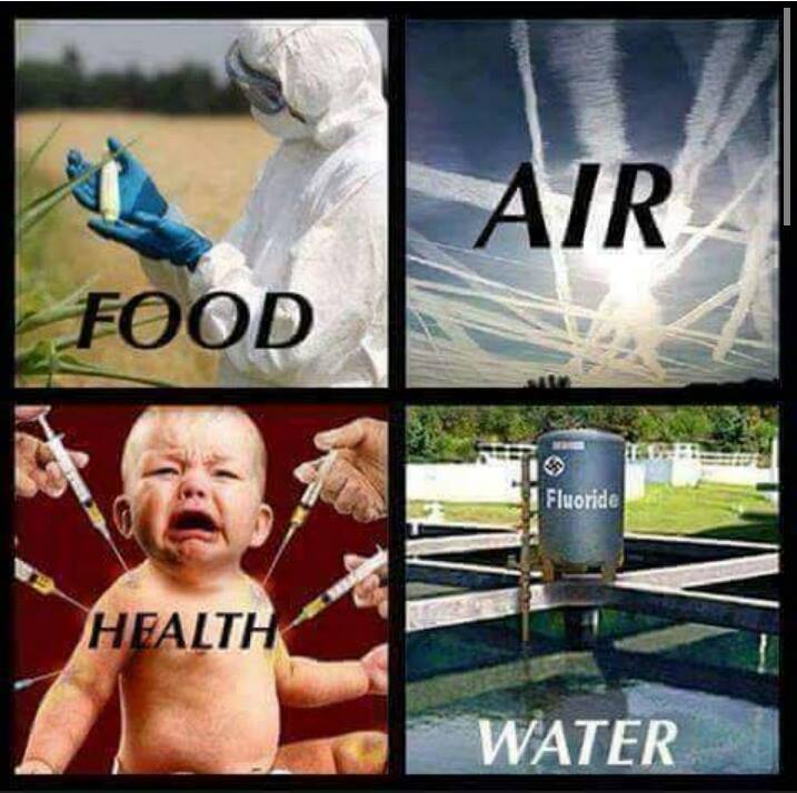 34759144_1611055278943837_857751857169170432_n