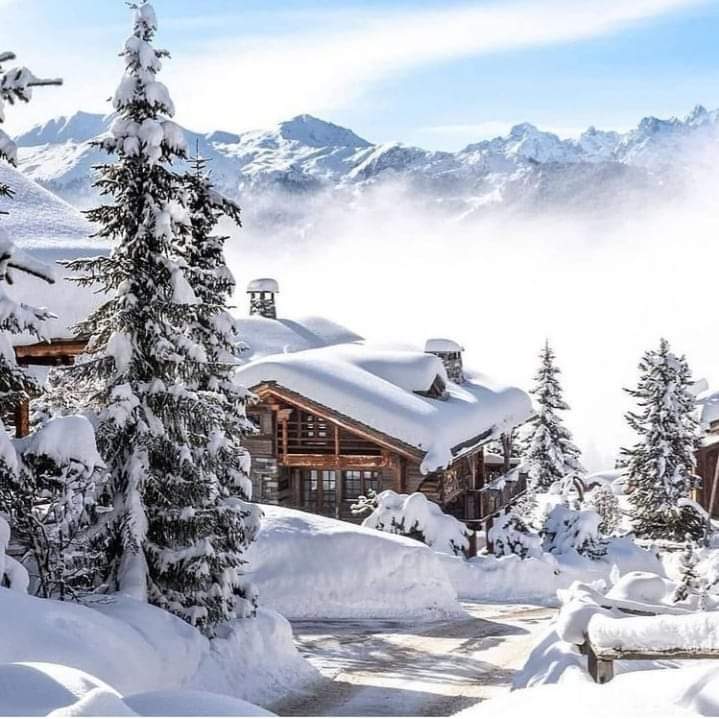 FB_IMG_1638387654311