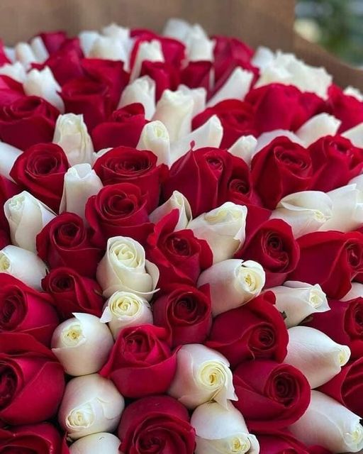 256402305_463885695105951_7975460569444456754_n