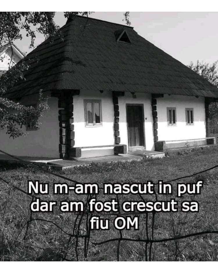 FB_IMG_1639626152087