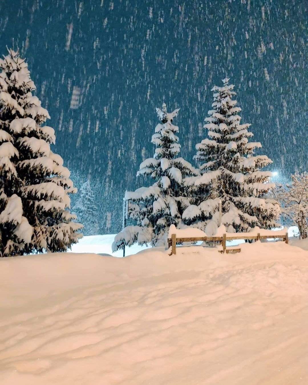 FB_IMG_1639943787237