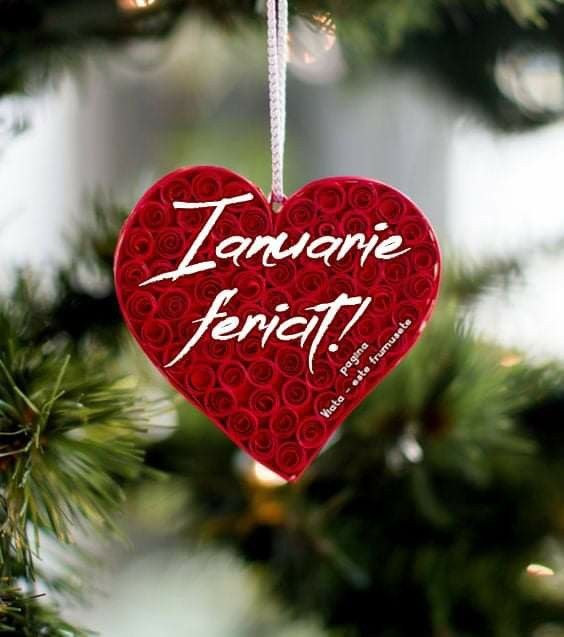 75e657b6480a40f31120407f5df4420c