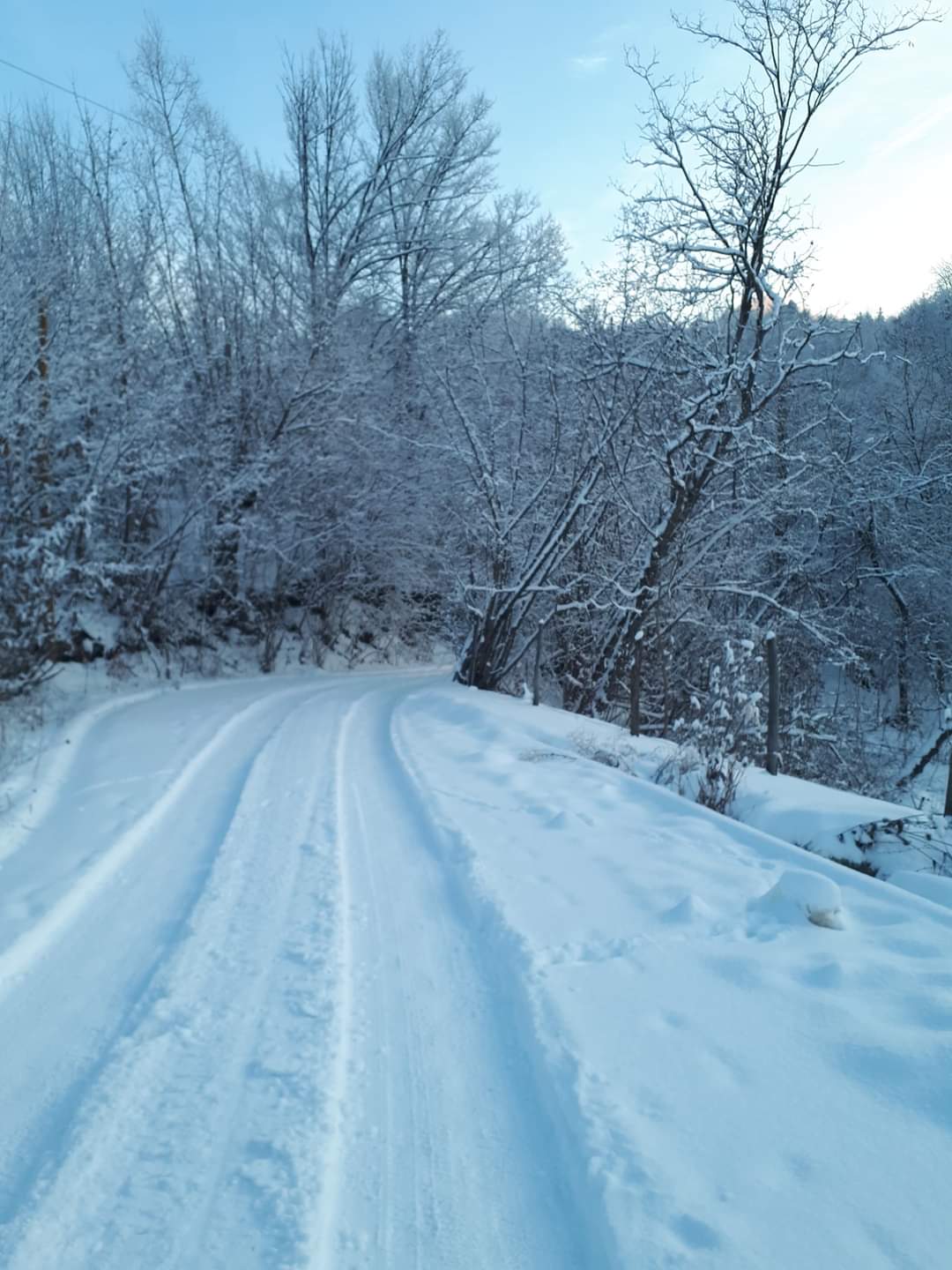 FB_IMG_1641964743653