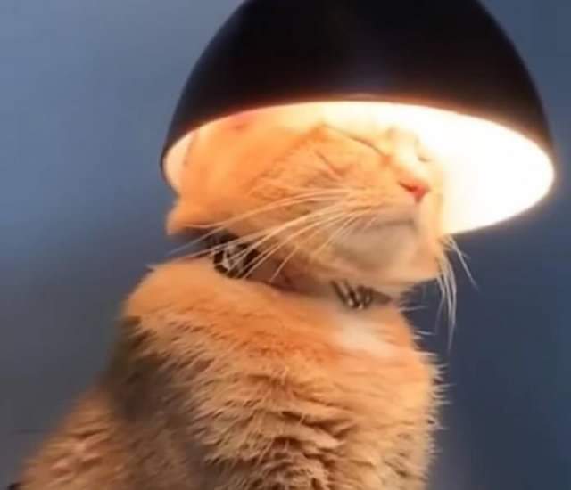 FB_IMG_1642924593801