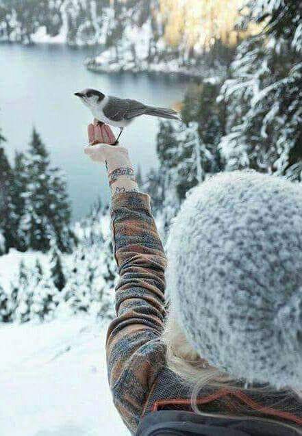 FB_IMG_1643503187419