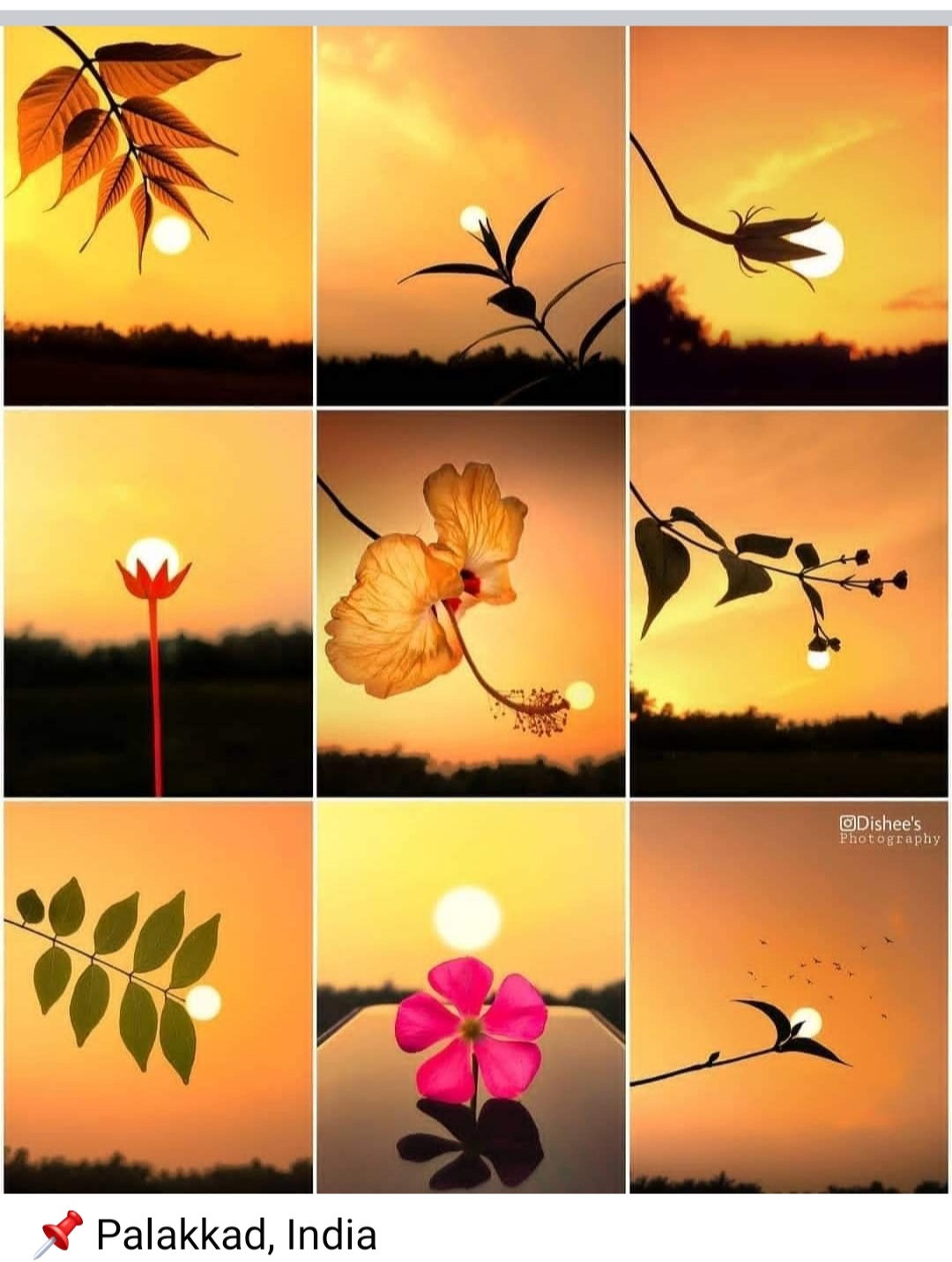 Screenshot_20220110-215323_Facebook