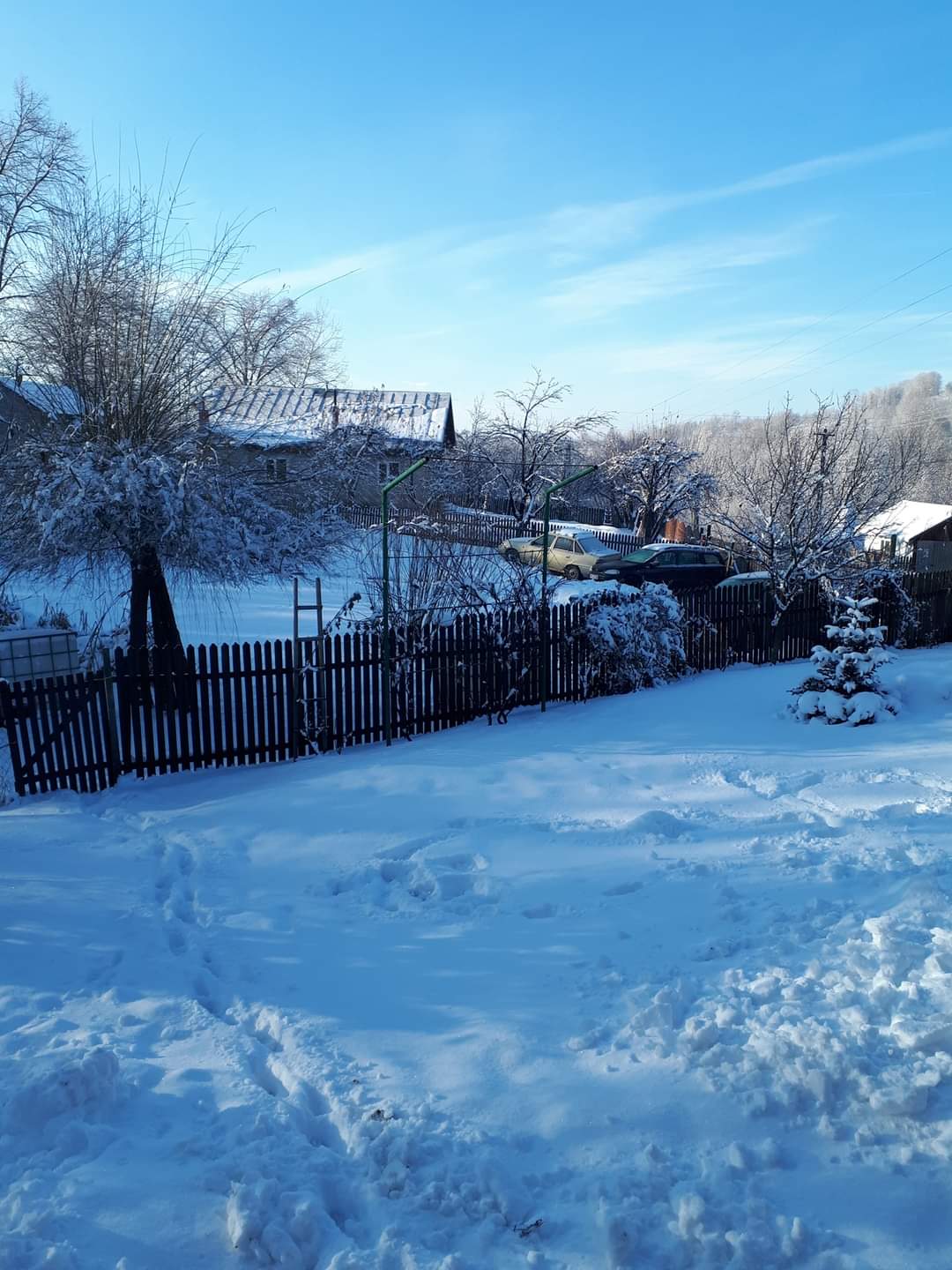 FB_IMG_1641964808100