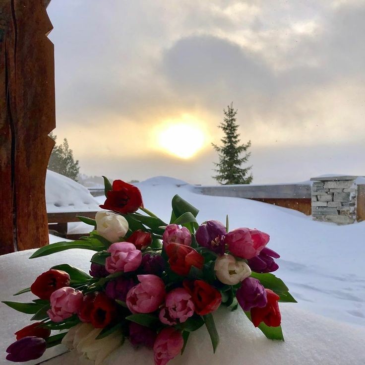 71dae0dd14f4211eecb87a3843dda5e7