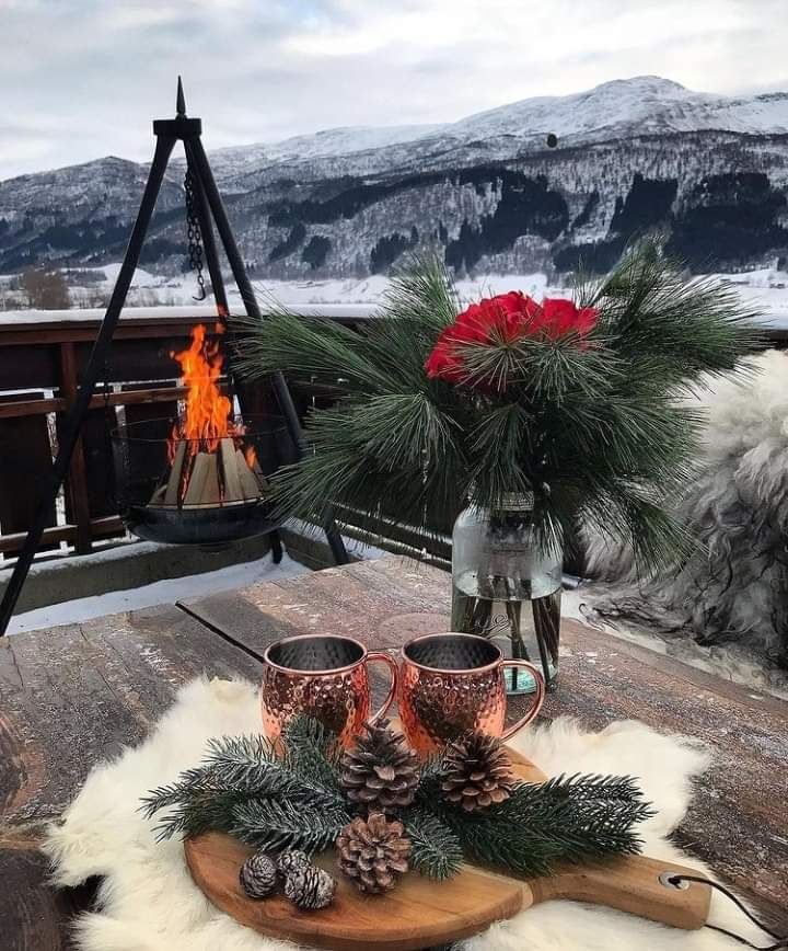 FB_IMG_1641277156711