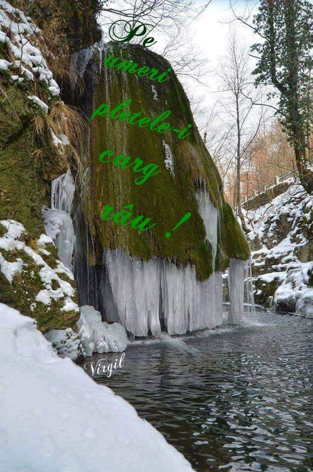 Pe umeri pletele-i curg rau