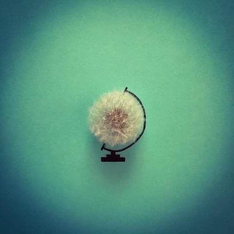 FB_IMG_1643522966536