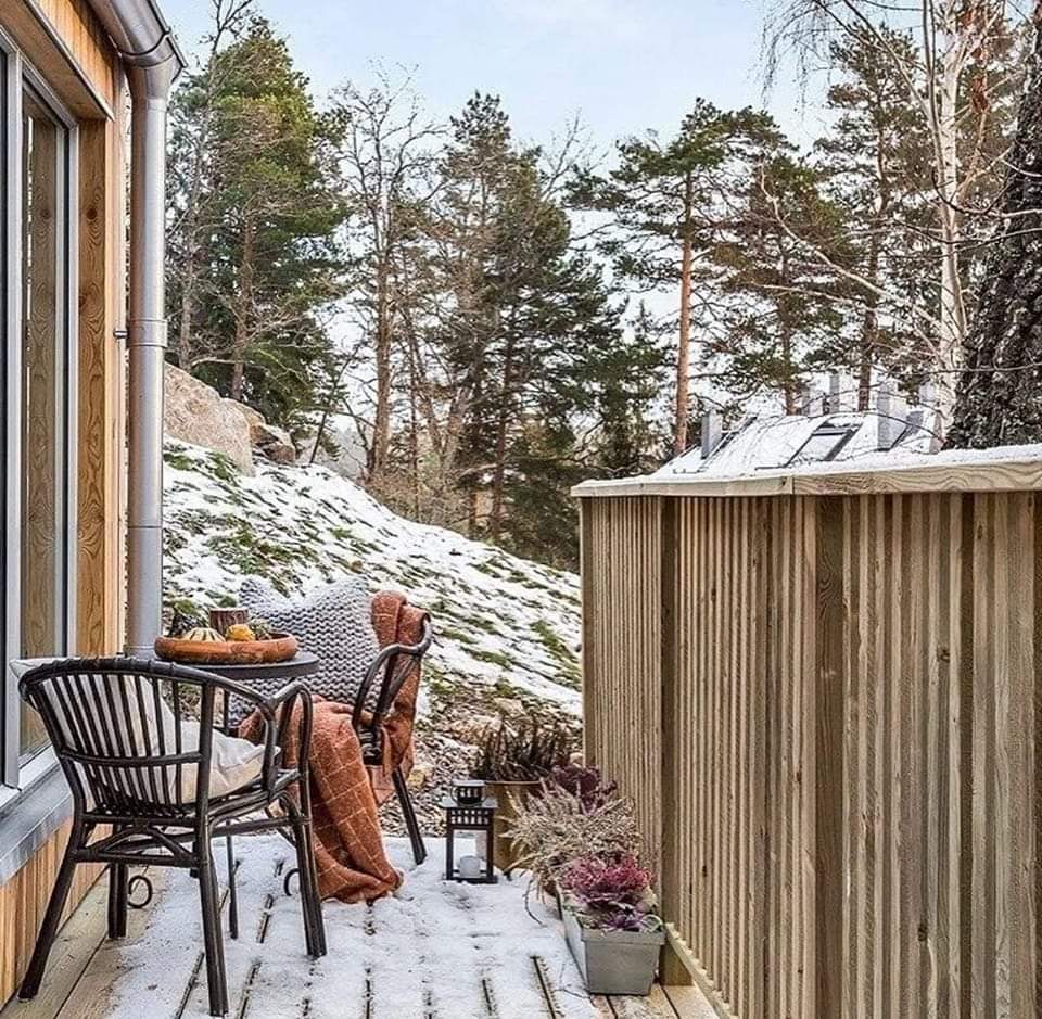 FB_IMG_1643503106251