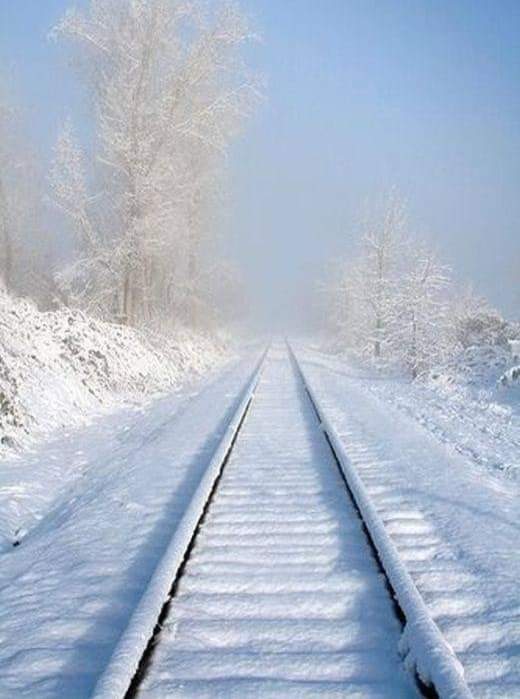 FB_IMG_1642270284769