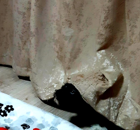 Screenshot_20220128-090247_Gallery