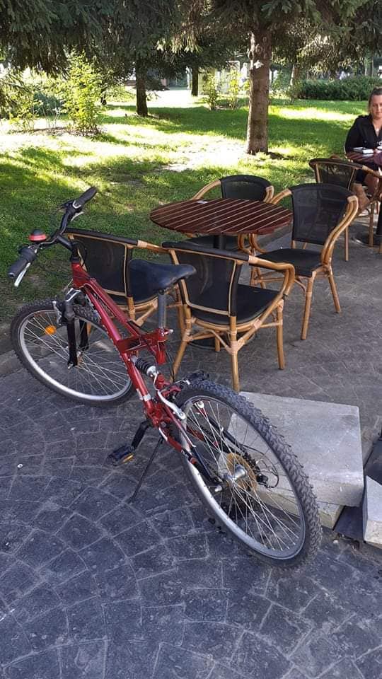 242128899_373094321142028_7037027975717484723_n