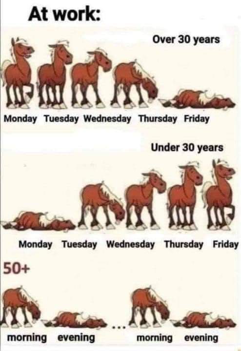 FB_IMG_1643609341663