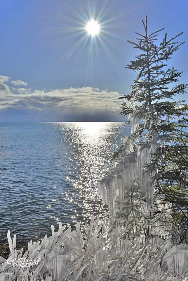 FB_IMG_1642746265554